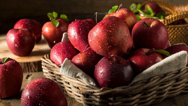 پای «سیب مراغه» به اروپا باز شد