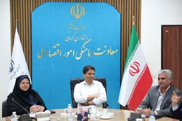 ضرورت رویکرد هدفمند برای توسعه اشتغال زنان در استان کرمان