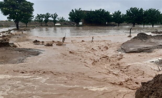 هواشناسی هرمزگان هشدار داد؛ خطر سیلابی شدن مسیل‌ها و طغیان رودخانه‌ها